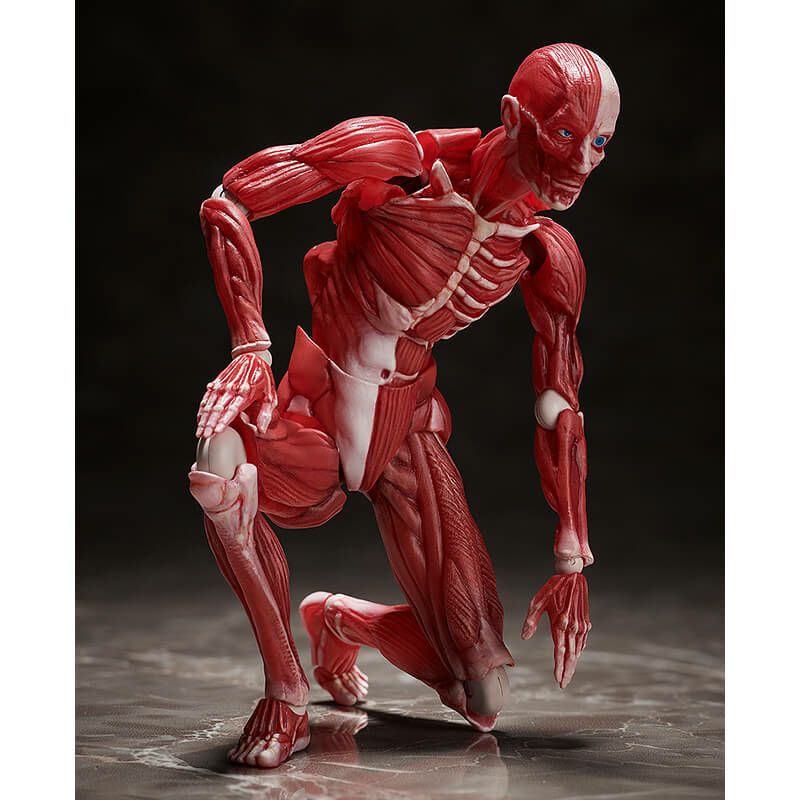 フリーイング figma 人体模型 可動フィギュア【在庫品】 | ガンギ
