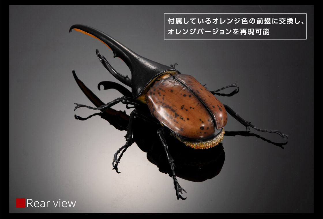 いきもの大図鑑プレミアム ヘラクレスオオカブト（ヘラクレス