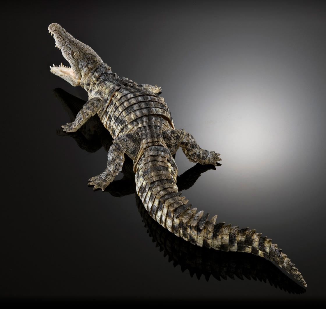 いきもの大図鑑 アルティメット ナイルワニ（ライトカラー）｜いきもの