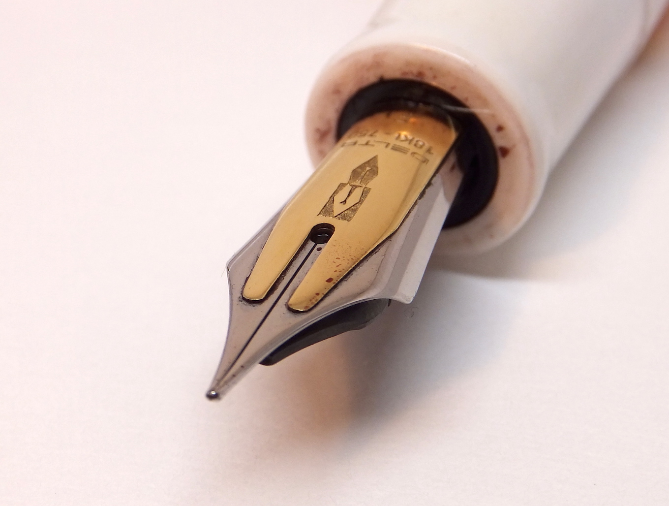 デルタのフュージョンニブの万年筆 (ドルチェビータ・フェデリコの別注