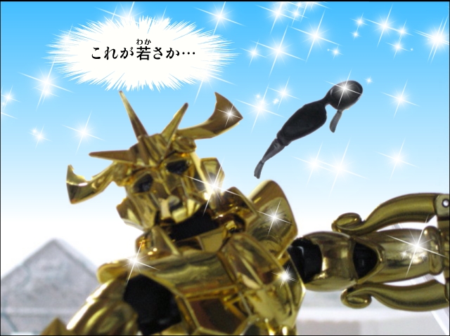 魂ウェブ商店 特別限定品 聖闘士聖衣神話 サジタリアスクロス 銀河戦争