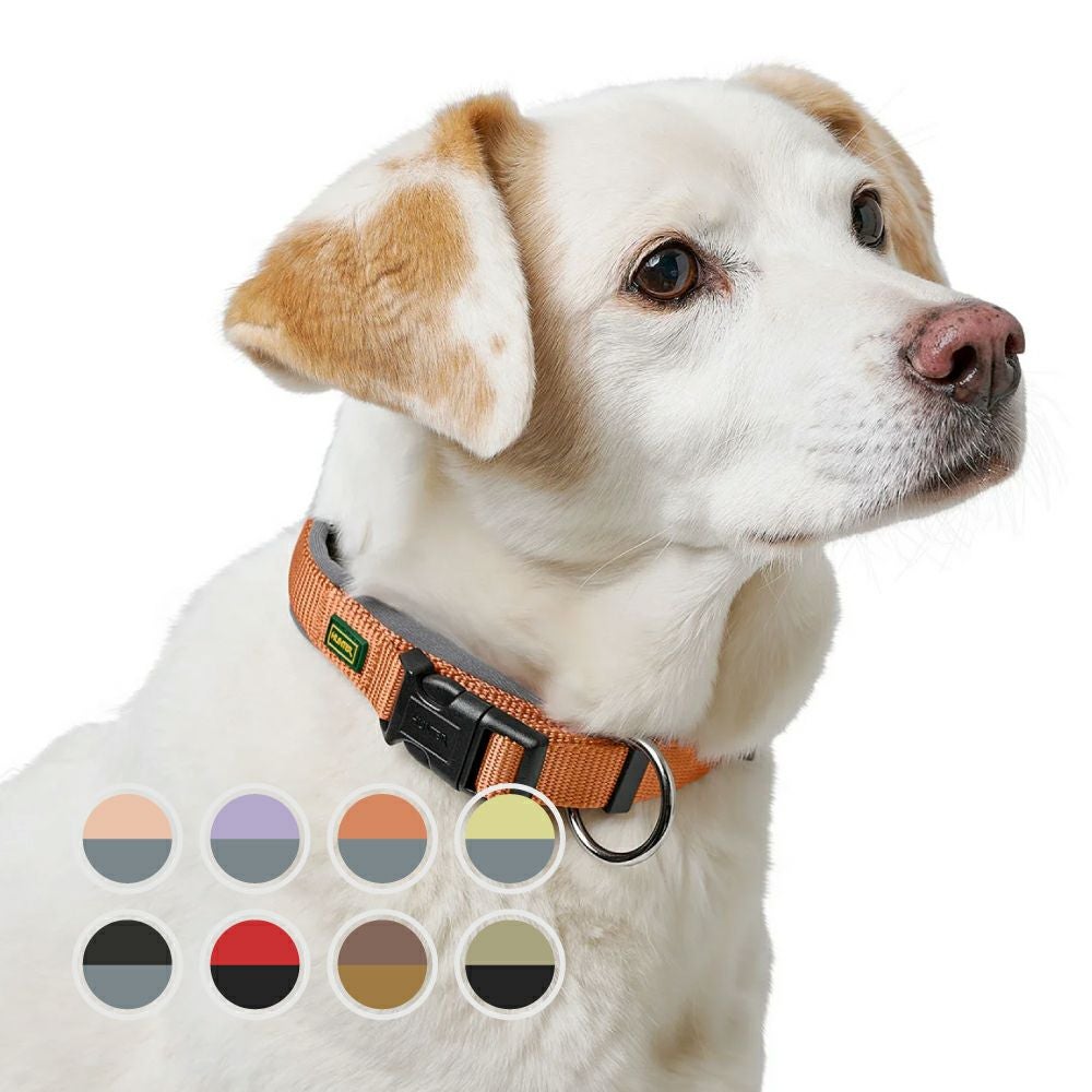 000000001815-01.jpg?size=m&w=