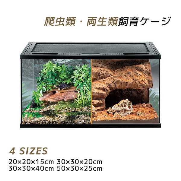 Qoo10] テラリウム 爬虫類 飼育 ケージ 両生類