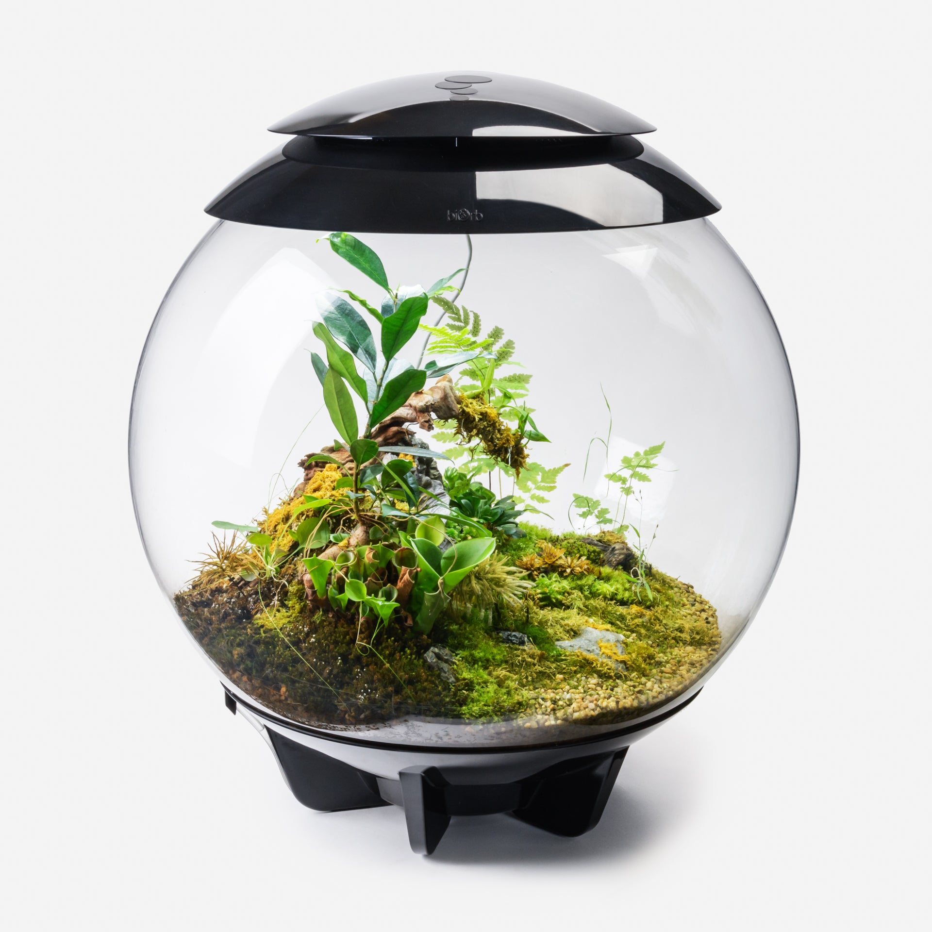 BiOrb AIR 60 バイオーブエア60 – g KEYAKIZAKA