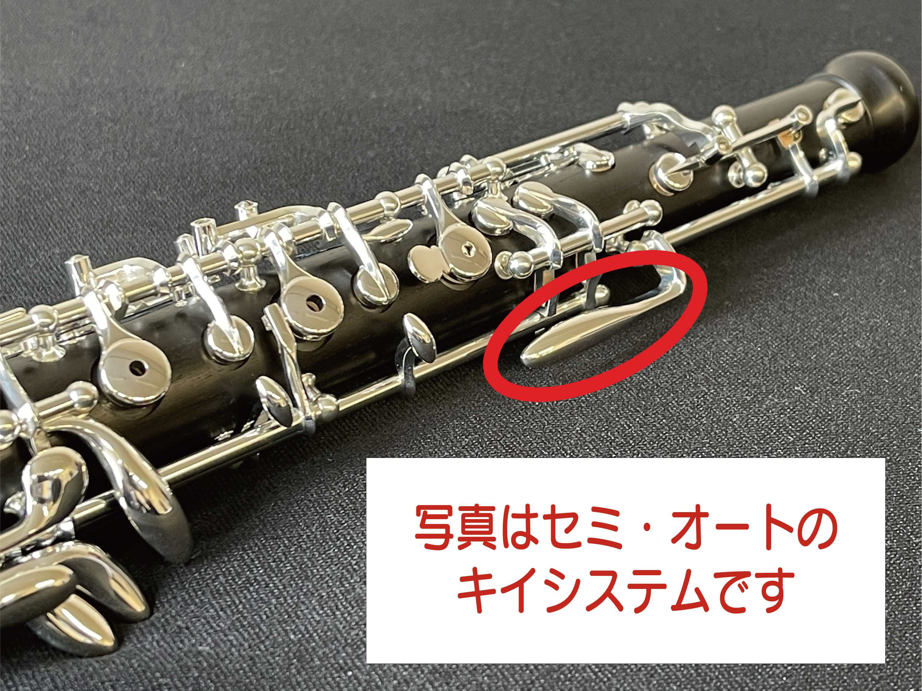Marigaux（マリゴ） オーボエ 901 | 管楽器【新品】 | WINDS-Kawagoe