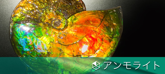 化石 アンモナイト オパール化 遊色 レインボー3点 9800an0814 化石