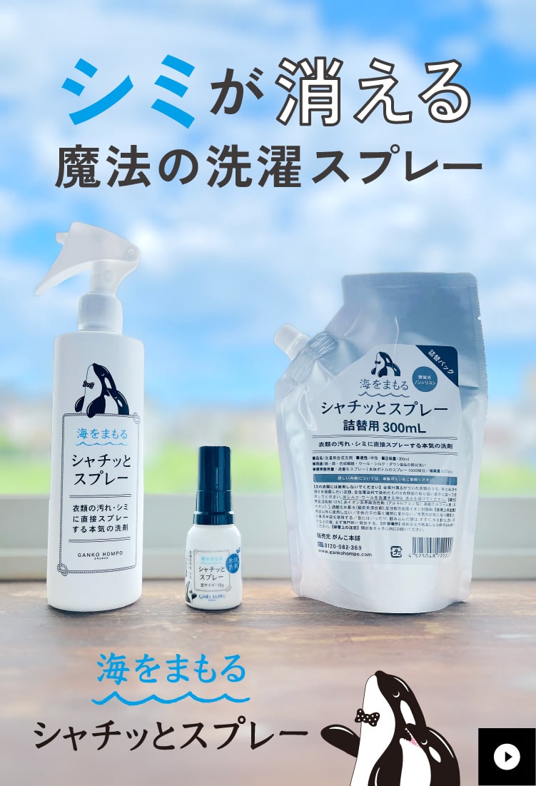 GANKO HOMPO 液体洗剤セット 豆豆セット 2024年6月5日～博多阪急