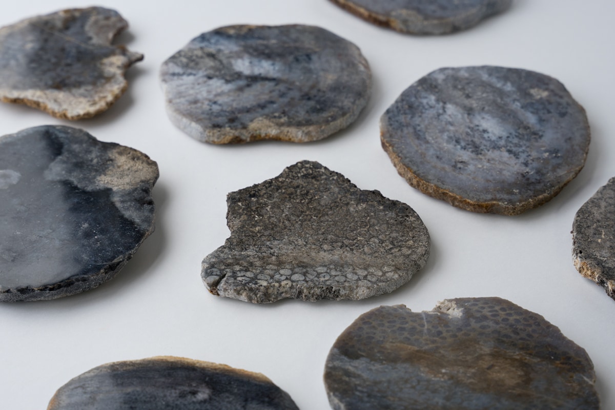 個別販売] CORAL COASTER