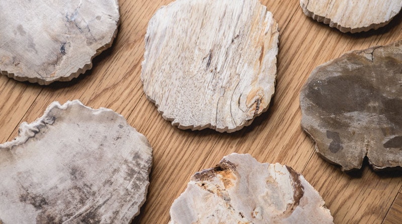 個別販売] WOOD COASTER / Natural