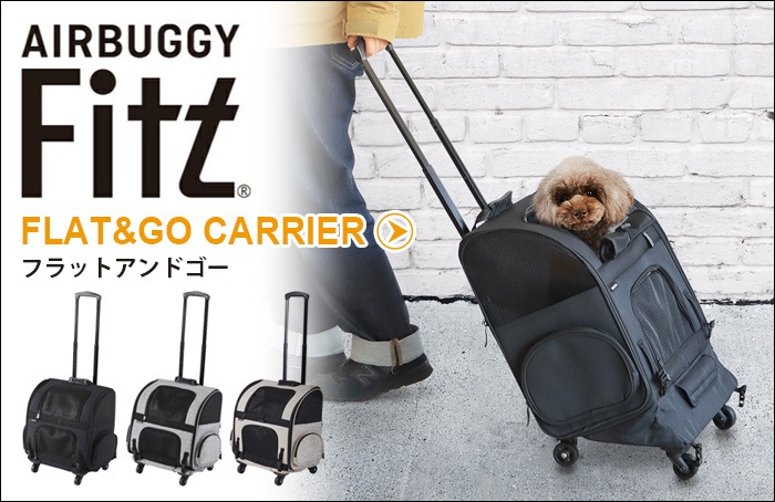 エアバギー フィット 専用 シーコアマット AIRBUGGY C-CORE 3D MAT