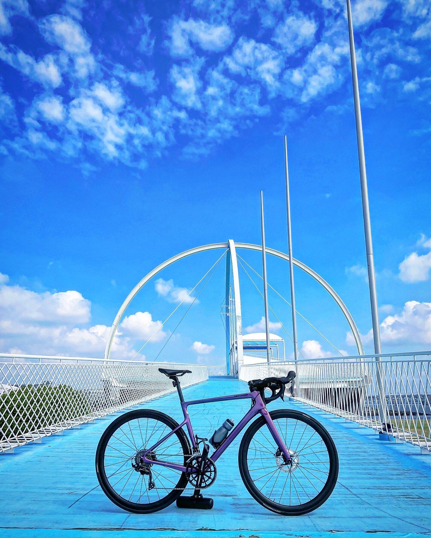 若洲海浜公園北端展望台 磯釣り 東京ゲートブリッジ サイクリング