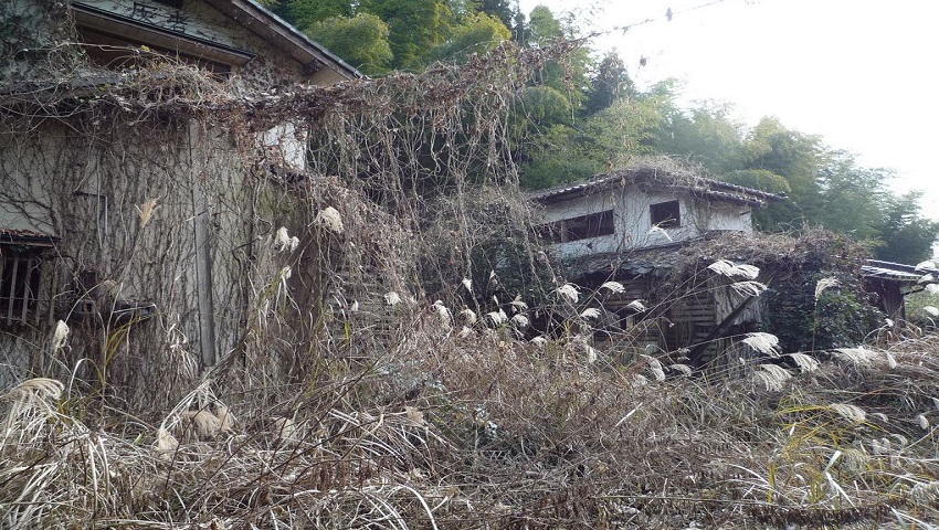 7つの家の村c 7つの家の村c 心霊スポット】住人達