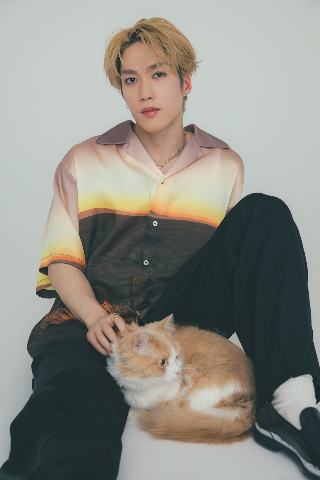 藤原樹 パネル 【公式通販】