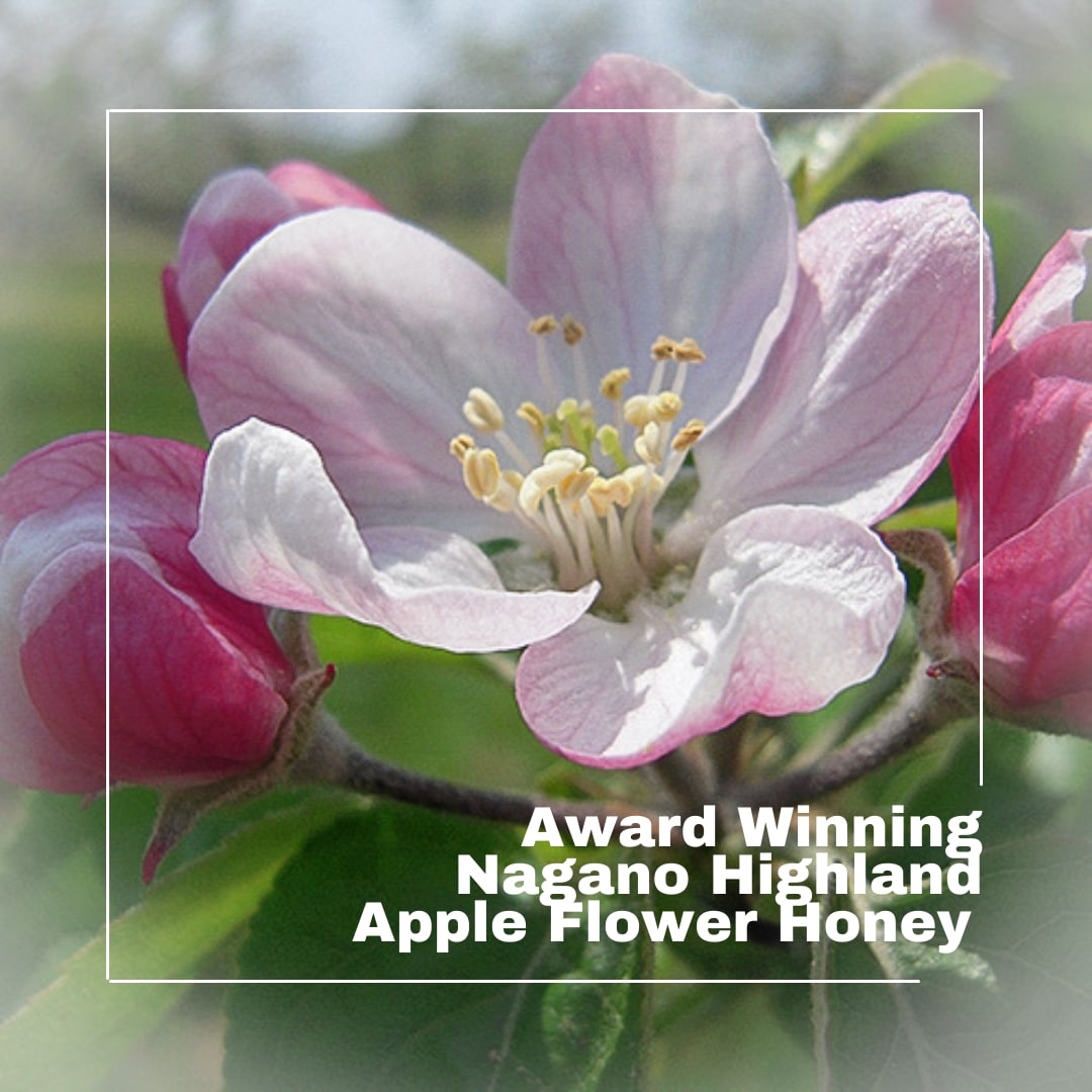 HINODE] NAGANO HIGHLAND AWARD WINNING JAPANESE APPLE FLOWER HONEY