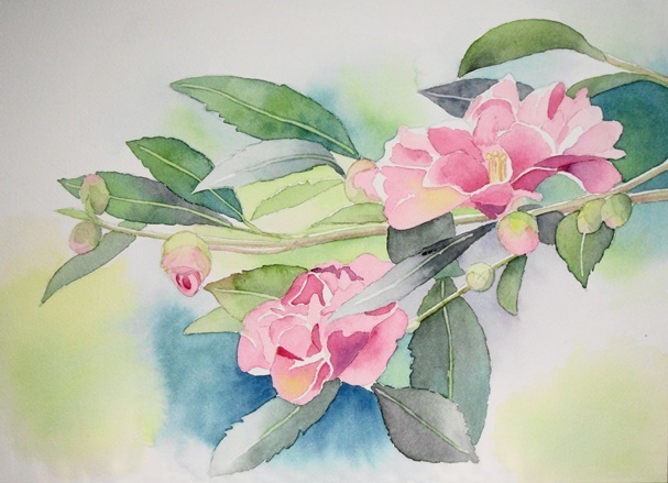 油絵 風景画 さざんか(山茶花) P10【12月】 油絵 風景画 さざんか