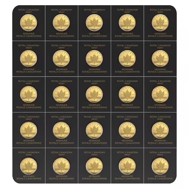 GW値下げ【25枚】2022 メイプルリーフ 5ドル 1オンス 地金型銀貨