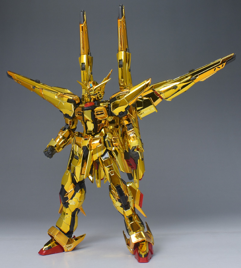 RG アカツキ オオワシ装備 シラヌイパック＆HGゼウスシルエット用接続