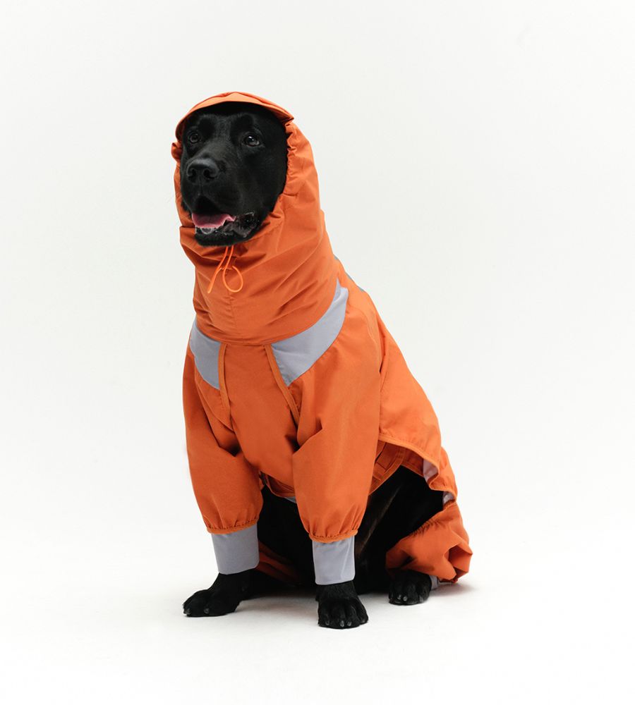 l*9様 ALPHACON 2XL 犬用レインコート オレンジ l*9様 ALPHACON
