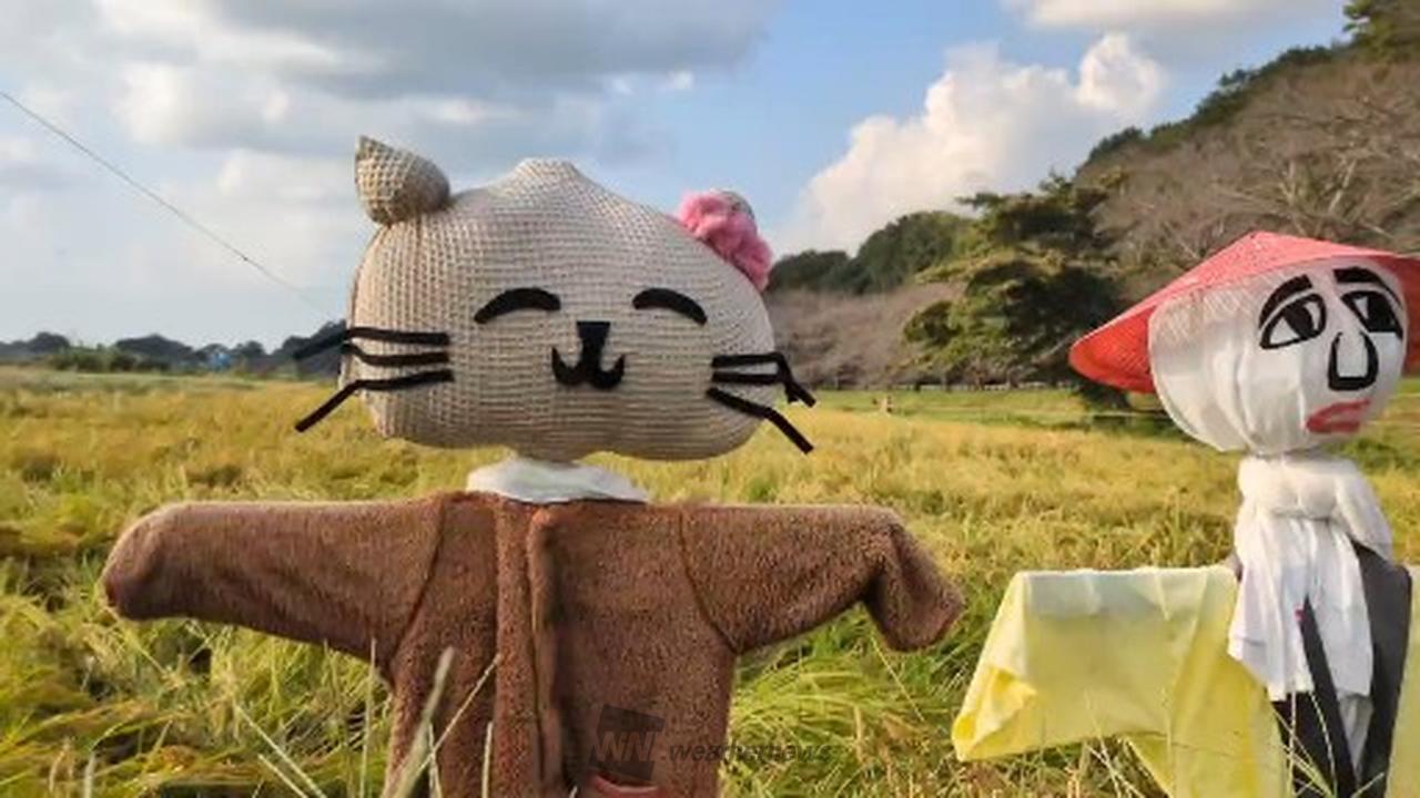 案山子コレクション 注目の空の写真 ウェザーニュース