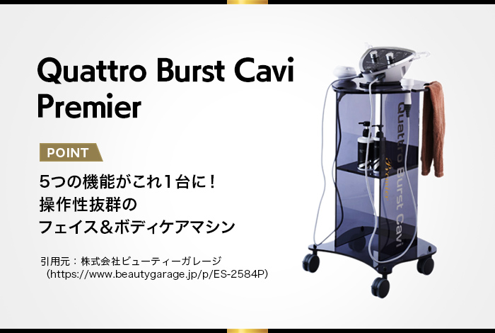 即発】キャビプレミアムキャビテーション業務用痩身機器 CABI premium