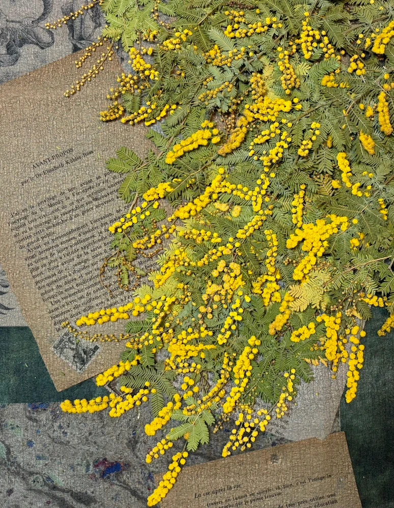 2026年1/18～24・有楽町】エメラルド押し花5人展 – ハルメク花アート