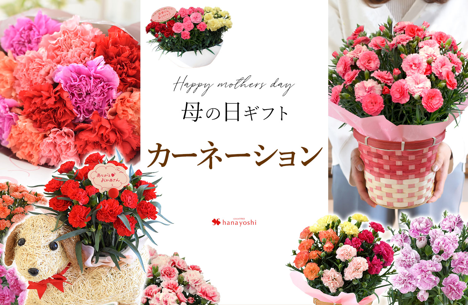 母の日2025 カーネーション | フラワーマーケット花由公式サイト