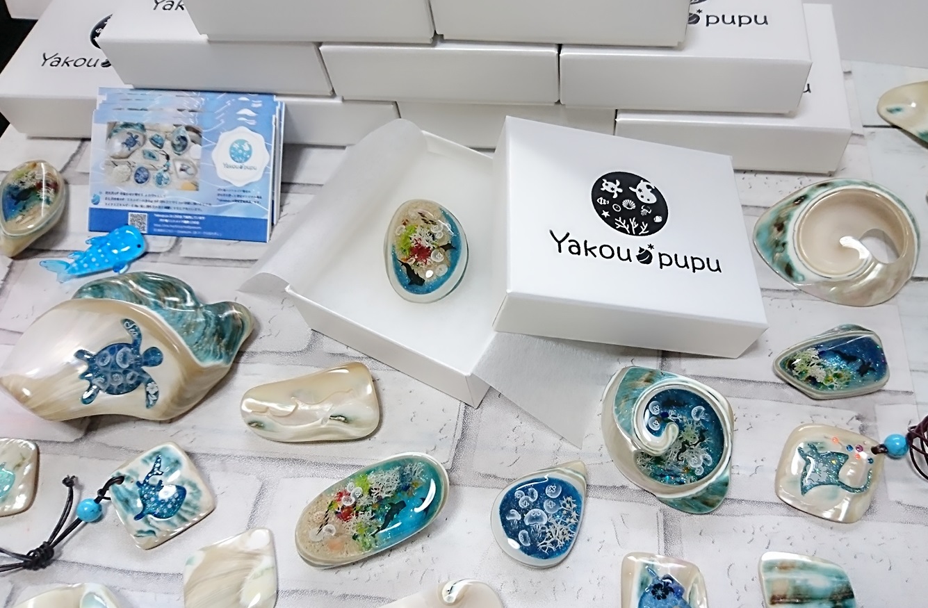 エビshop』【夜光貝小セット 】沖縄県産夜光貝 エビShop〜』【夜光貝小
