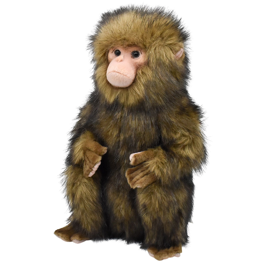 ニホンザル 33 | HANSA