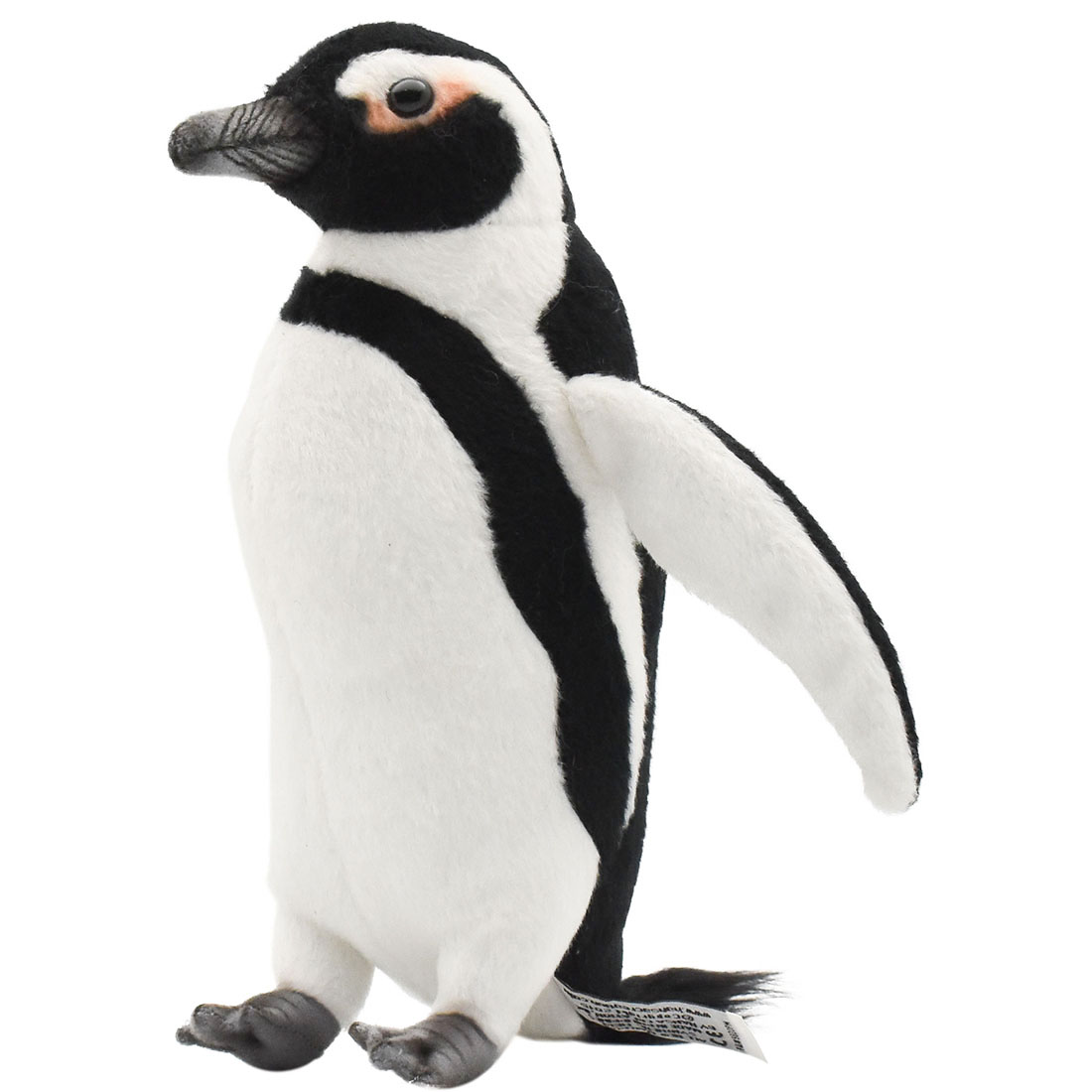 ケープペンギン 21 | HANSA