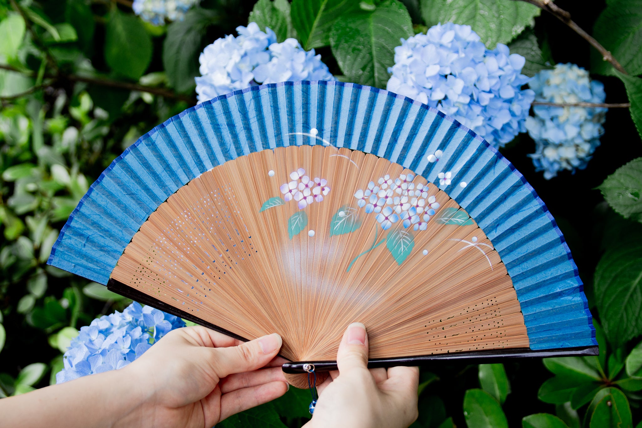 紫陽花特集 – 白竹堂オンラインショップ