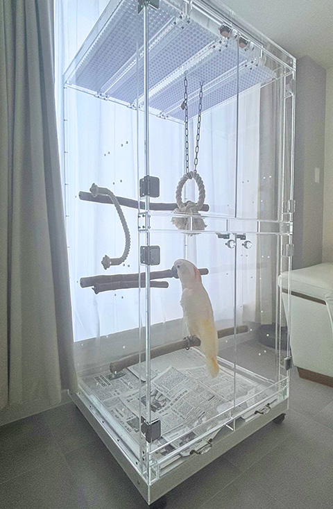 ハッピーケース／インコ・鳥さんのアクリルケース、バードゲージ