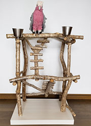 自然木のバードジム オウム インコ／ハッピーケース