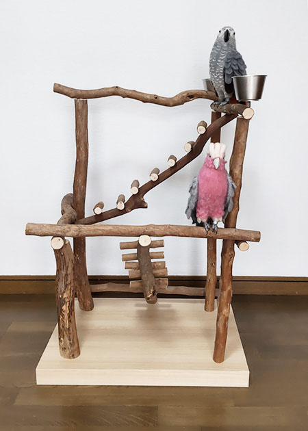 自然の木で遊ばせたい！大型インコのバードジムno504／ハッピーケース