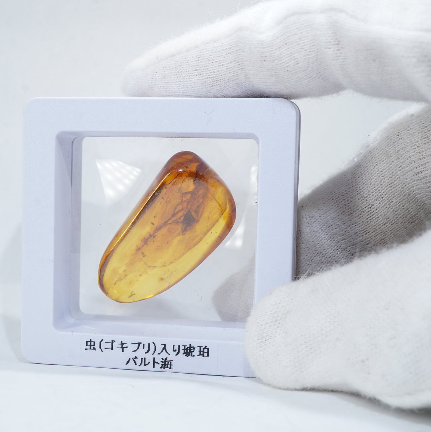 バルト海産 虫(ゴキブリ)入り琥珀 約2.9g – 天然石ハッピーギフト