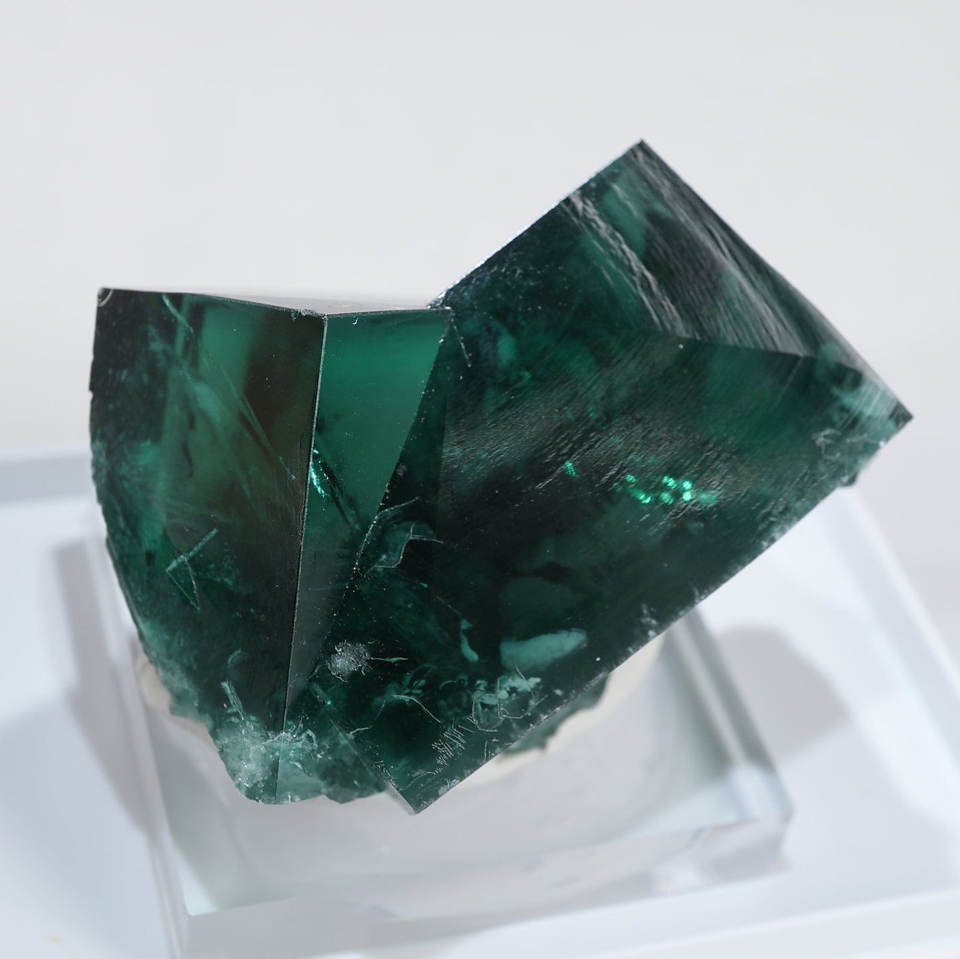 イギリス Diana Maria Mine (The Hidden Forest Pocket) ダイアナ