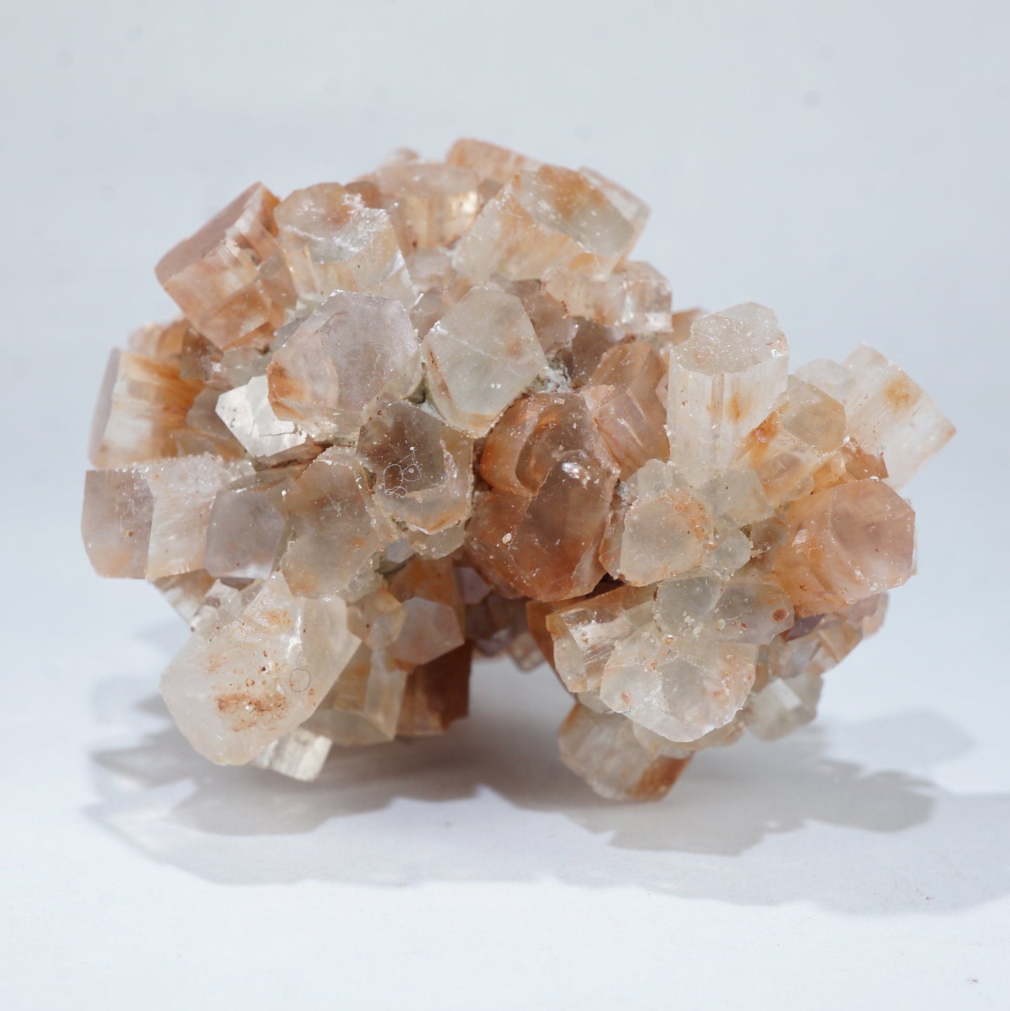 モロッコ産アラゴナイトの花 (花火 )