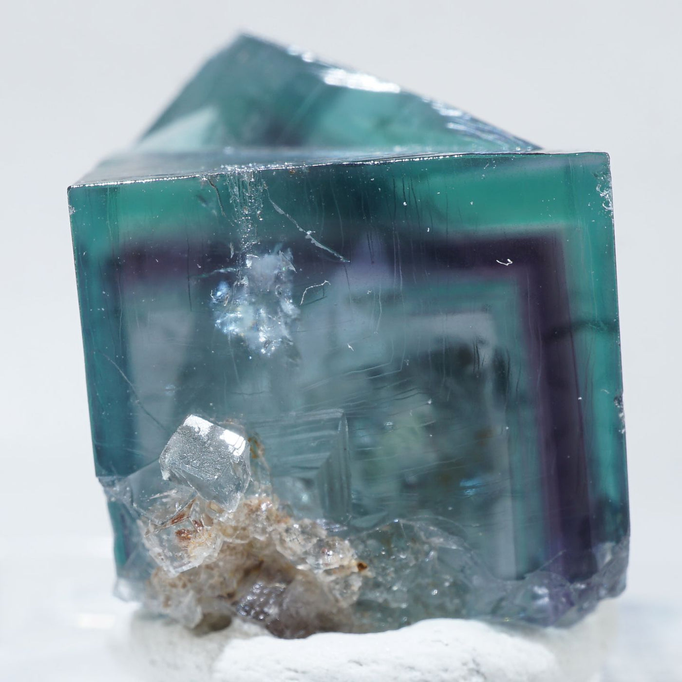 イギリス Fairy Holes Pocket Lady Annabella(レディアナベラ) Mine産