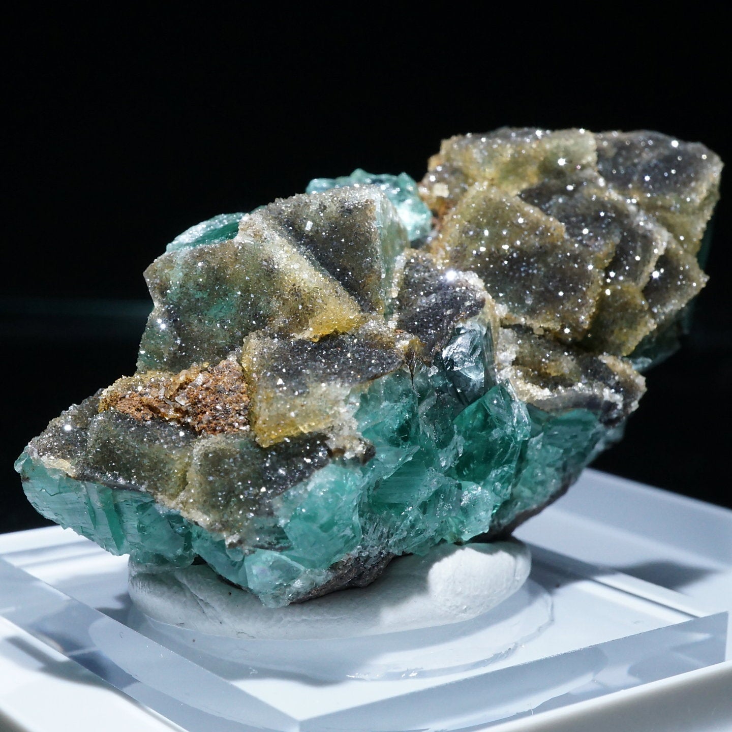 Diana Maria Smoky Rabbit Pocket フローライト Diana Maria Smoky