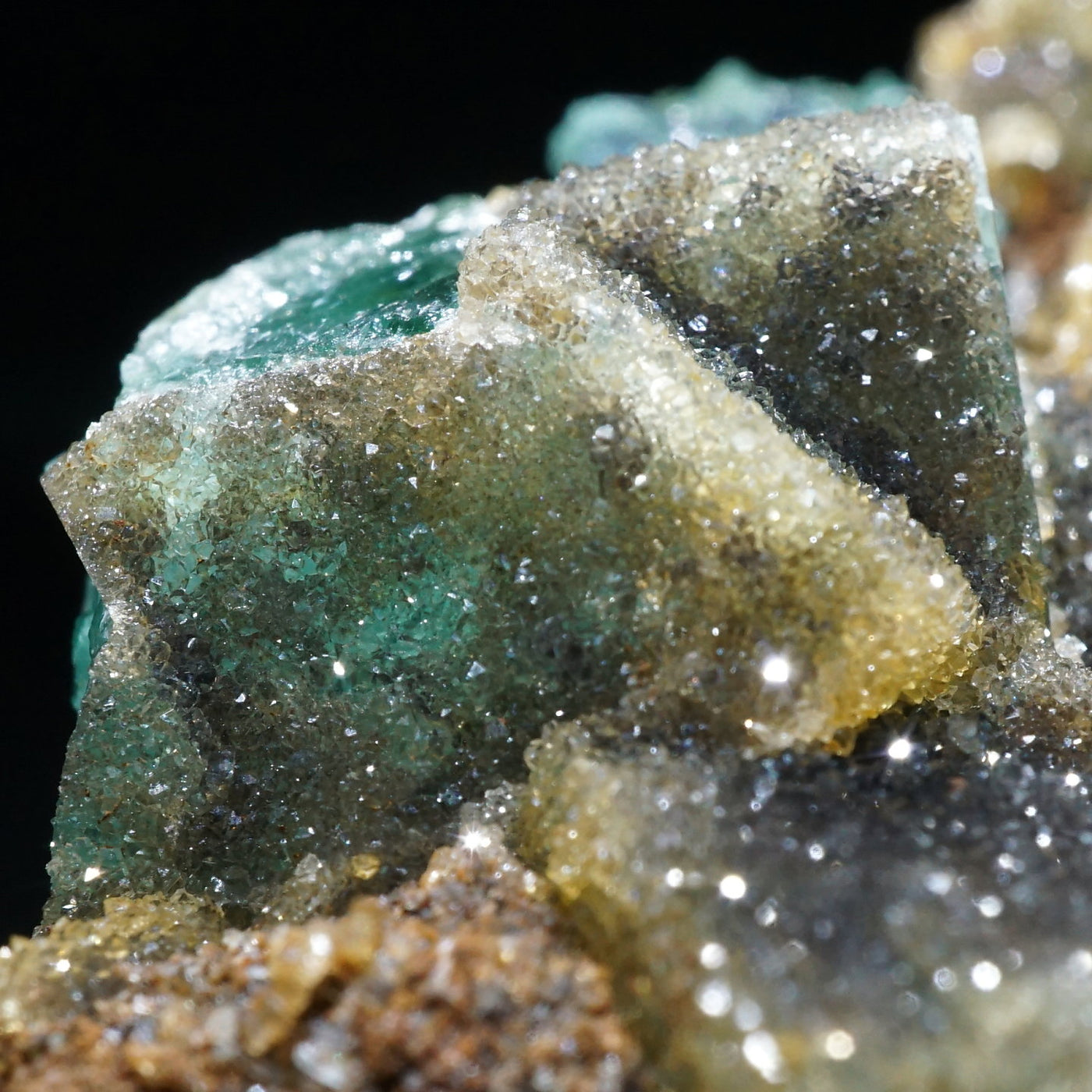 Diana Maria Smoky Rabbit Pocket フローライト Diana Maria Smoky