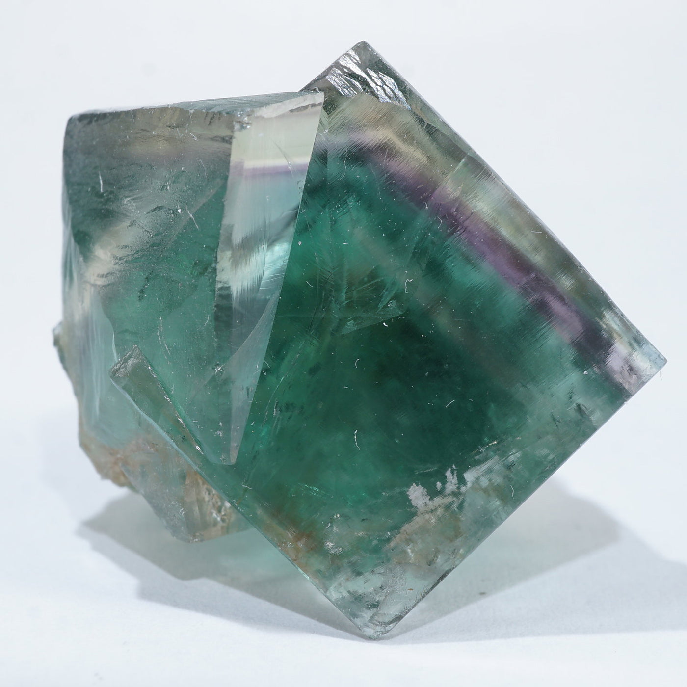 Honey Bear Pocket フローライト Honey Bear Pocket フローライト