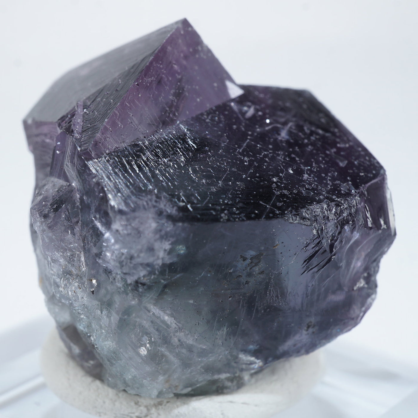 140 UK レディアナベラ Purple Rain Pocket フローライト 140 UK