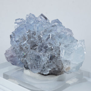 スペイン La Viesca Mine産 フローライト – 天然石ハッピーギフト