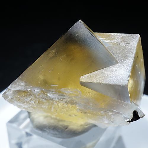 レディアナベラ toxic apple pocket フローライト レアポケット レディ