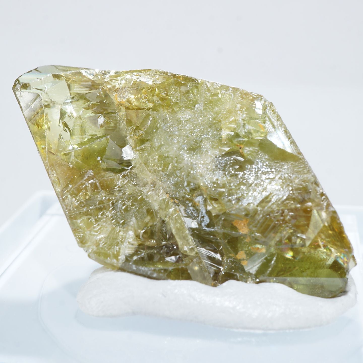 91099-c5_1440x.jpg?v=1666924580