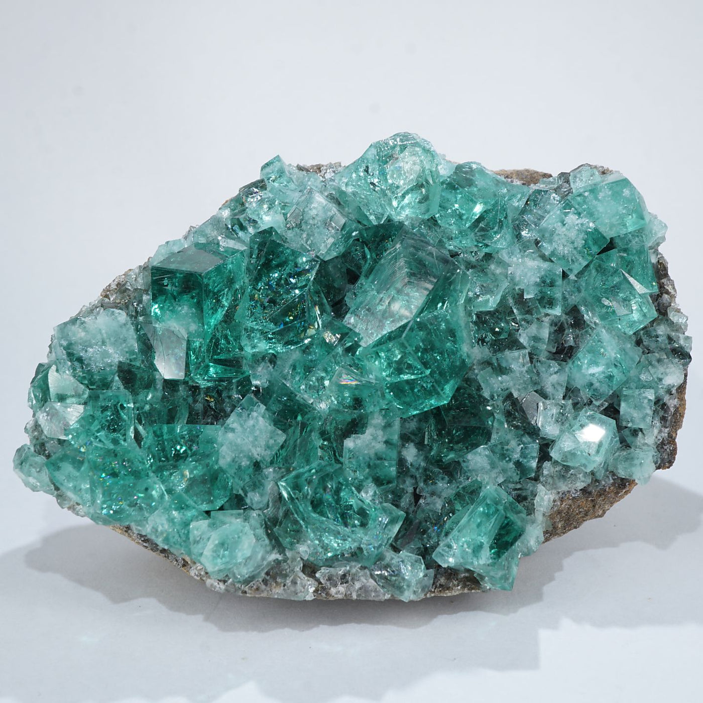 石の中のマリア 石の中のマリア 石の中のマリア り