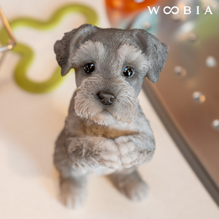 つめる！もちっこシュナウザー VMCセット ≪8月の新商品≫つめる！も