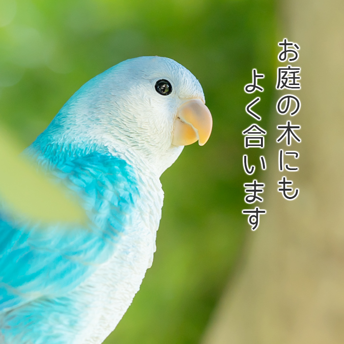 木に留まって休むインコ《 オキナインコ（23.5cm）》 – ガーデン用