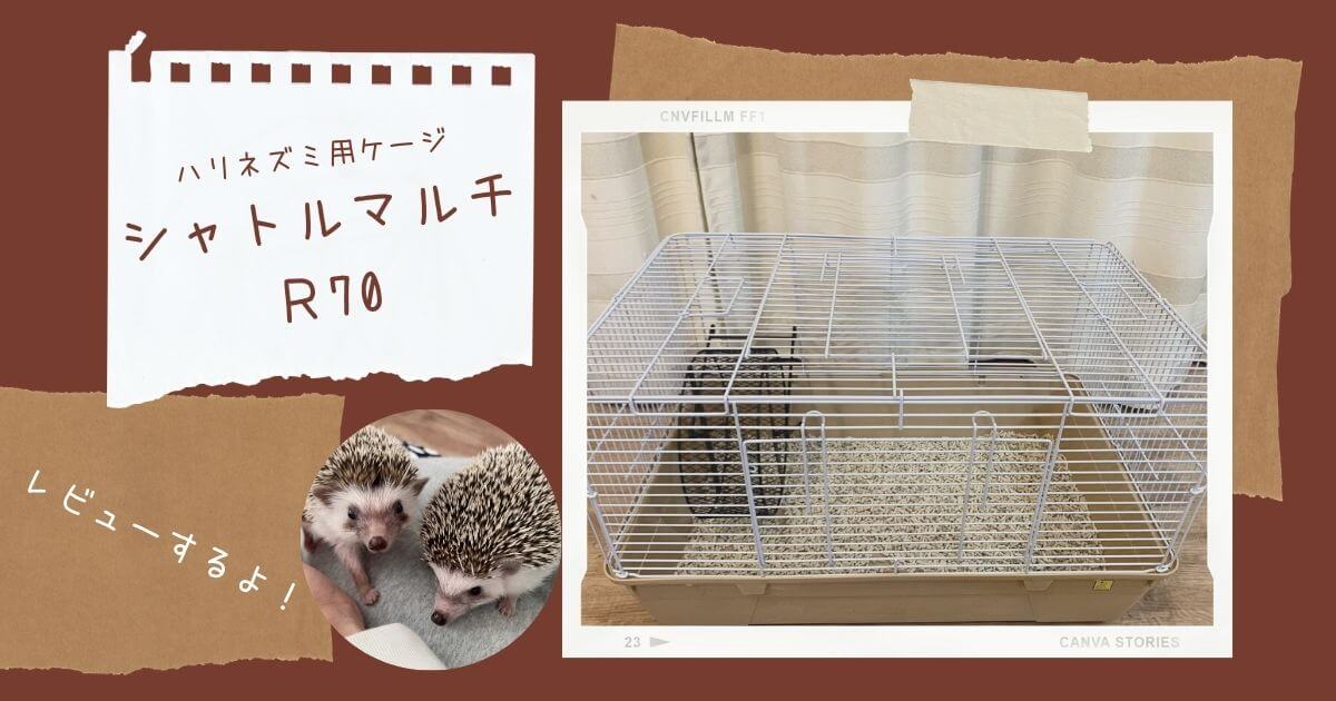 シャトルケージ＋小動物用小物 小動物・ハリネズミ 飼育セット 大きめ