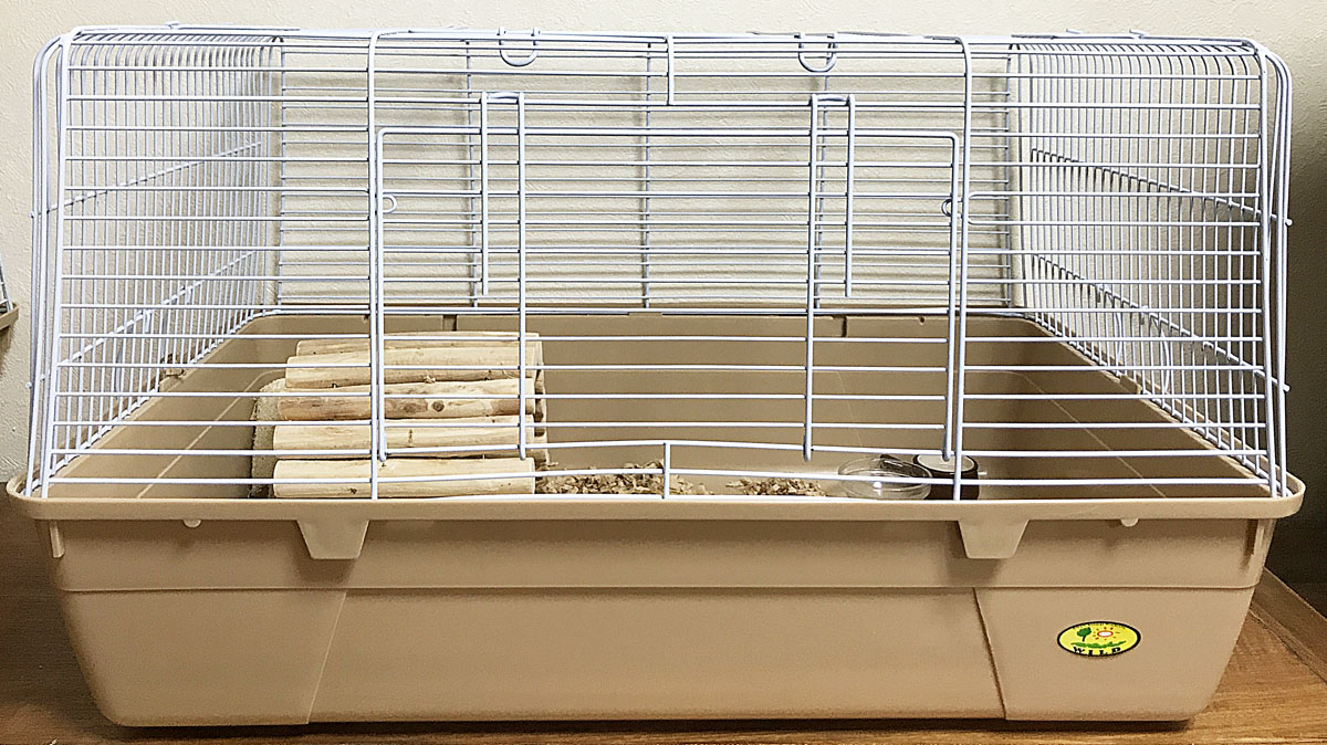 ハリネズミ用ケージの選び方：サイズ選びは慎重に