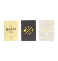 Harry Potter トム・リドルの日記・東京スタジオツアー限定セット 日本